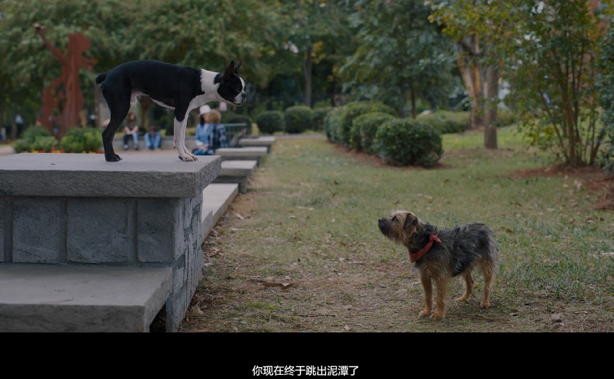 QQ截图20230913131312.png