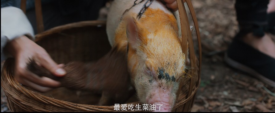 QQ截图20230919123443.png