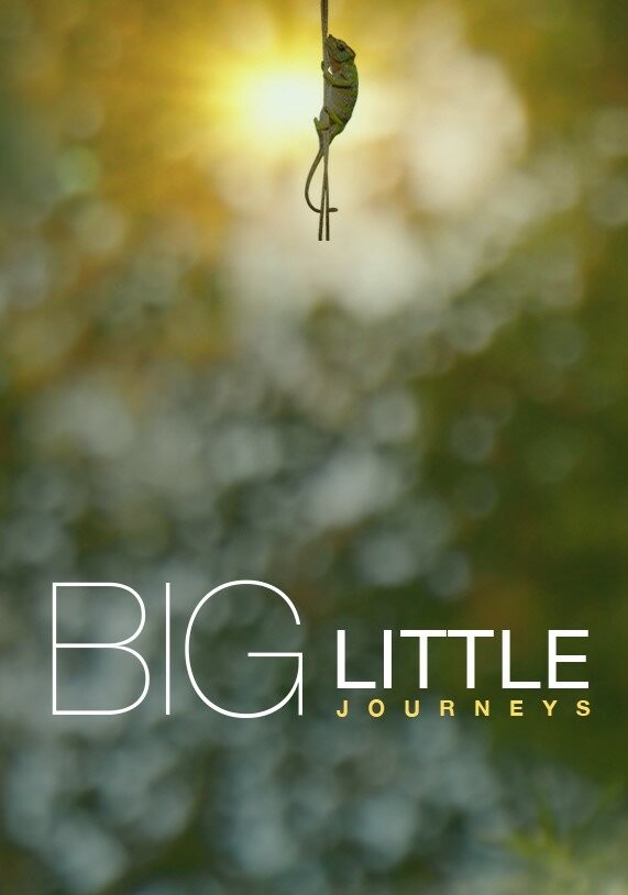 Big.Little.Journeys.S01 1.jpg