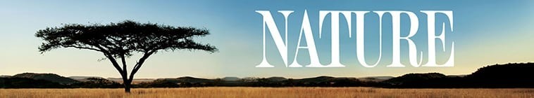 Nature.S42 自然2.jpg