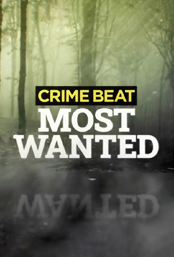 Crime.Beat.Most.Wanted.S01 犯罪节拍:头号通缉犯1.jpg