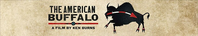 The.American.Buffalo.S01 美国水牛2.jpg