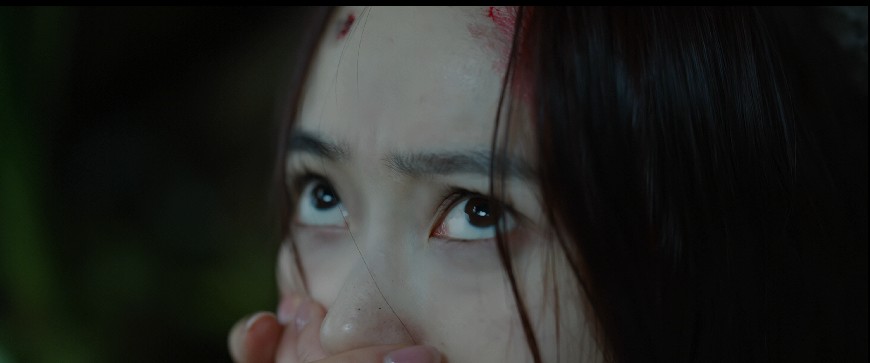 QQ截图20231111094104.png