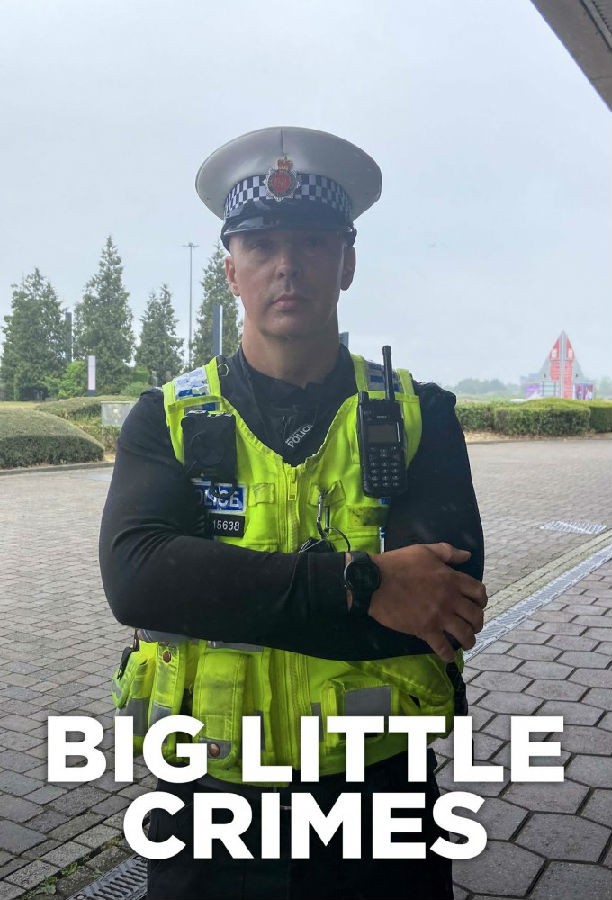 Big.Little.Crimes.S01 大罪小罪1.jpg