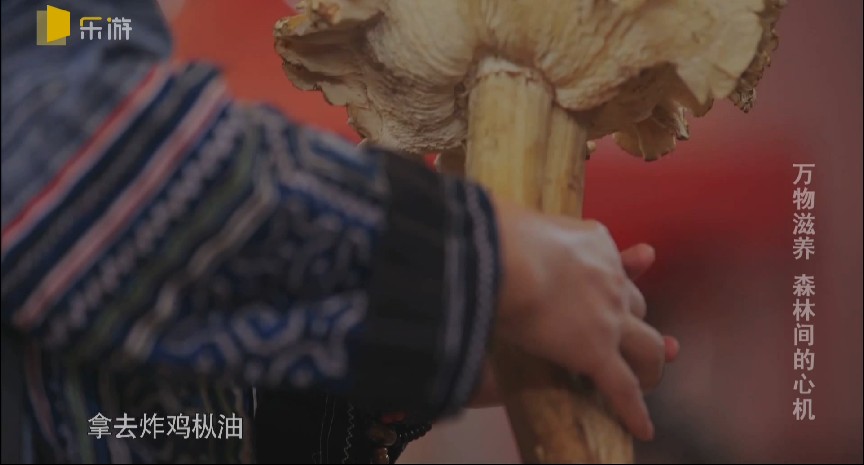 QQ截图20231208210113.png