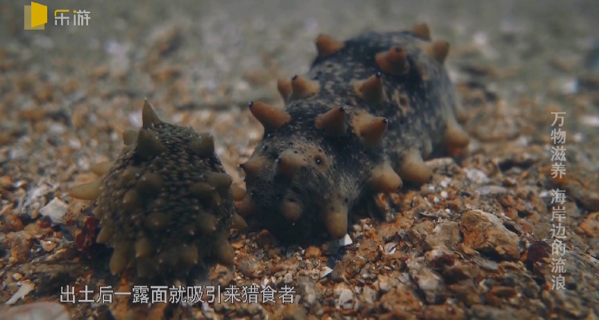 QQ截图20231208205737.png