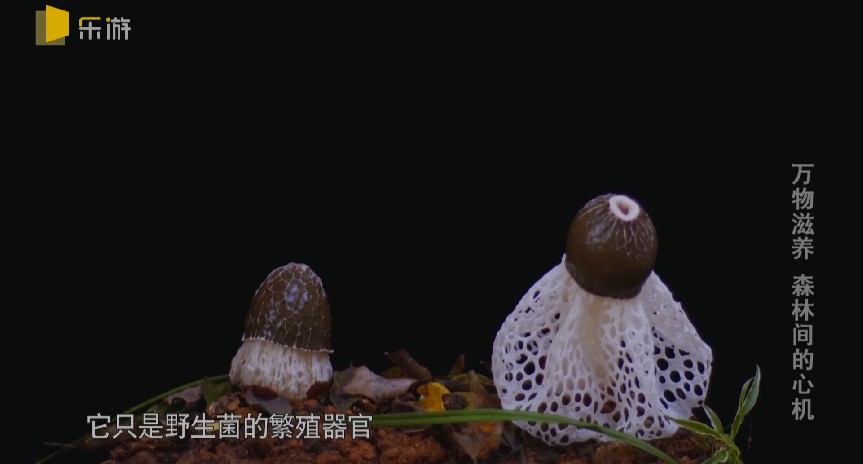 QQ截图20231208210046.png