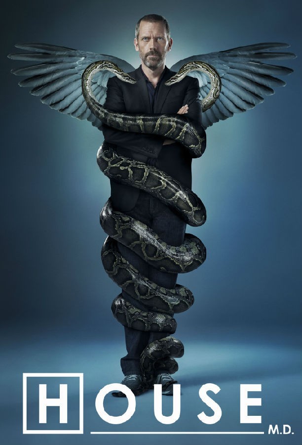 House.S01 豪斯医生1.jpg