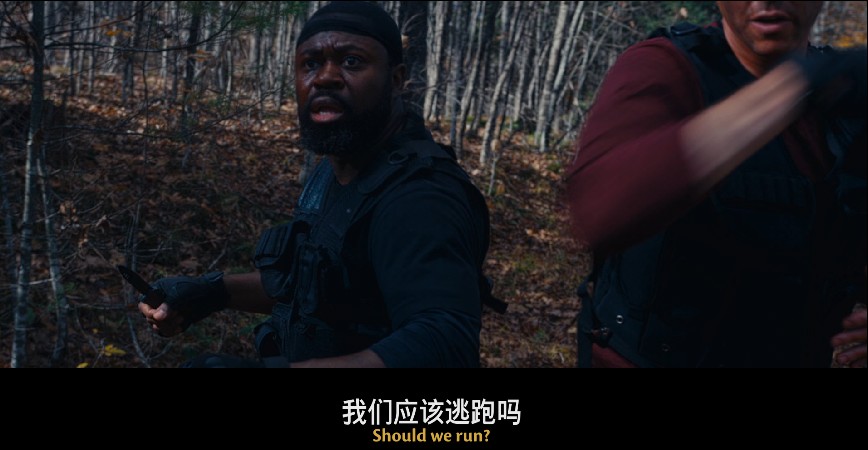 QQ截图20231211141532.png