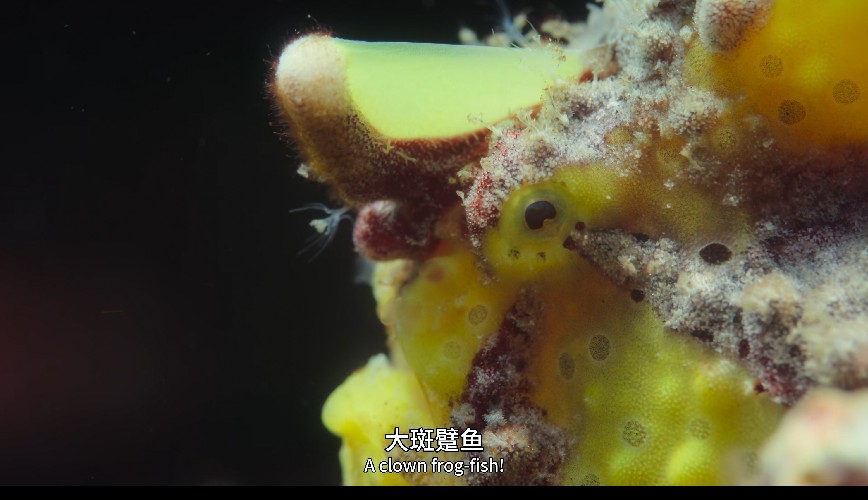 QQ截图20231218174007.png