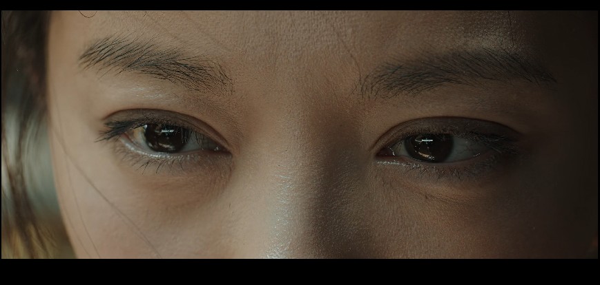 QQ截图20231216110747.png