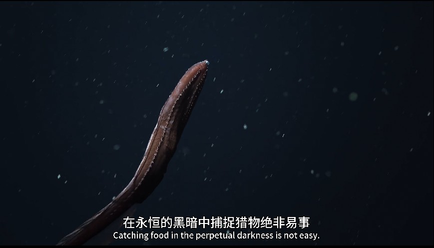 QQ截图20231218174049.png