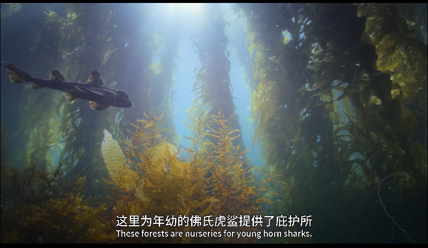 QQ截图20231218174017.png