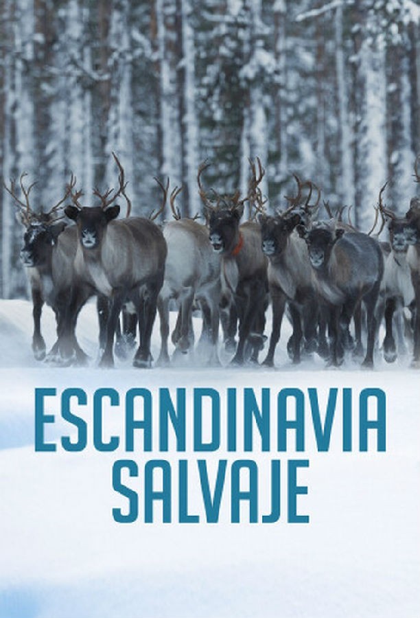 Wild Scandinavia S01 狂野的斯堪的纳维亚1.jpg