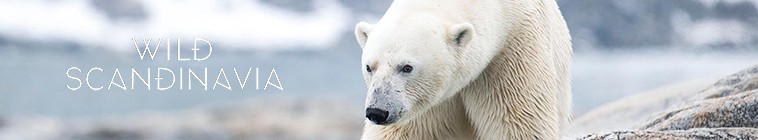 Wild Scandinavia S01 狂野的斯堪的纳维亚2.jpg