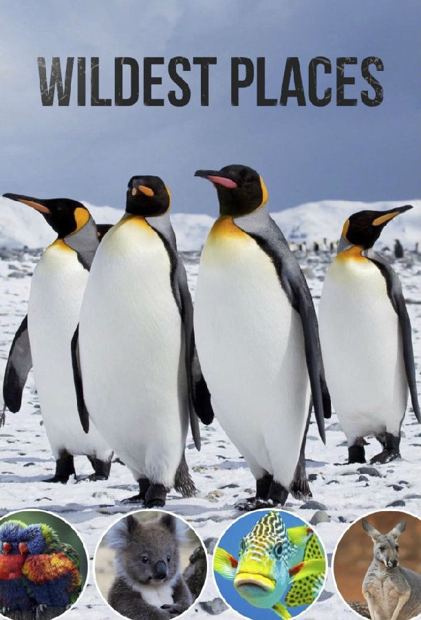 Wildest.Places.S02 1.jpg