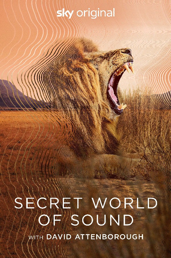 Secret World of Sound with David Attenborough S01 大卫·阿滕伯勒的秘密声音世界1.jpg