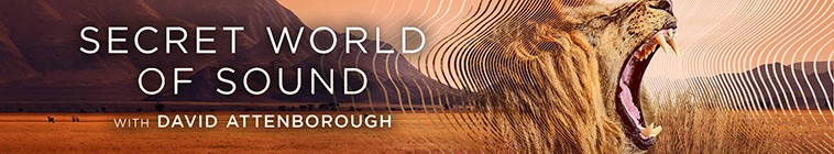 Secret World of Sound with David Attenborough S01 大卫·阿滕伯勒的秘密声音世界2.jpg