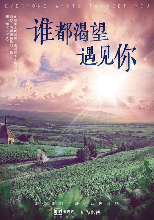 [BT下载][谁都渴望遇见你][全36集][WEB-MKV/28.10G][国语配音/中文字幕][4K-2160P][H265][流媒体][LelveTV] 剧集 2020 大陆 剧情 打包