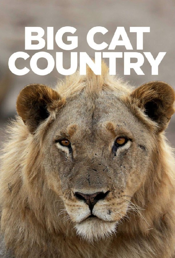 Big.Cat.Country.S01 狮子王国1.jpg