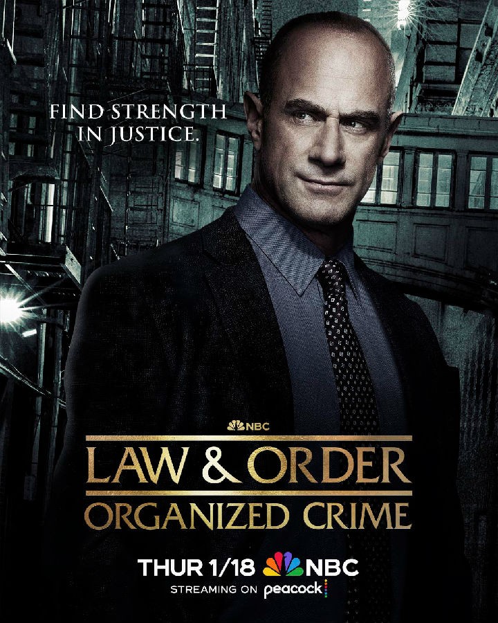 Law.and.Order.Organized.Crime.S04 法律与秩序:组织犯罪1.jpg