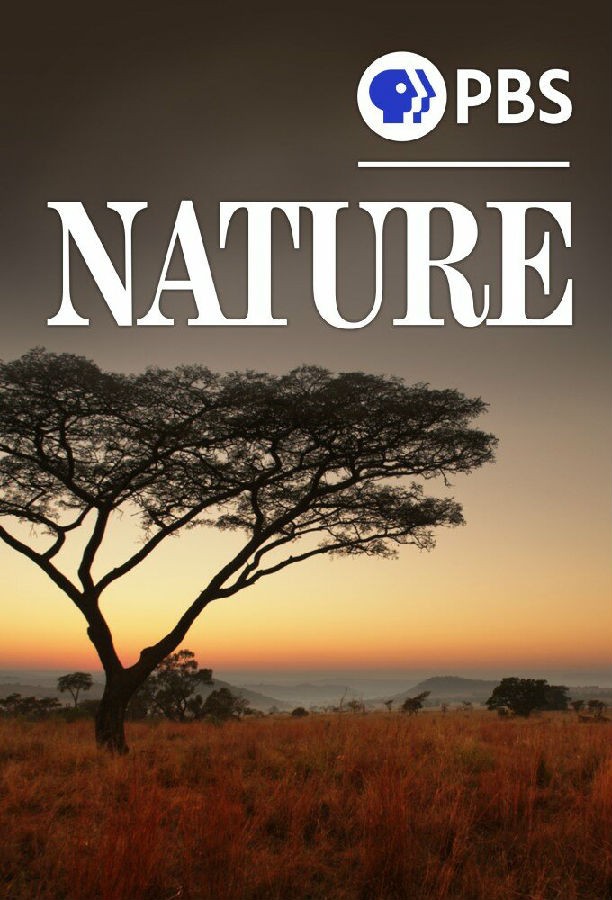 Nature.S42 自然1.jpg
