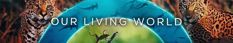 Our Living World 我们的生物世界2.jpg