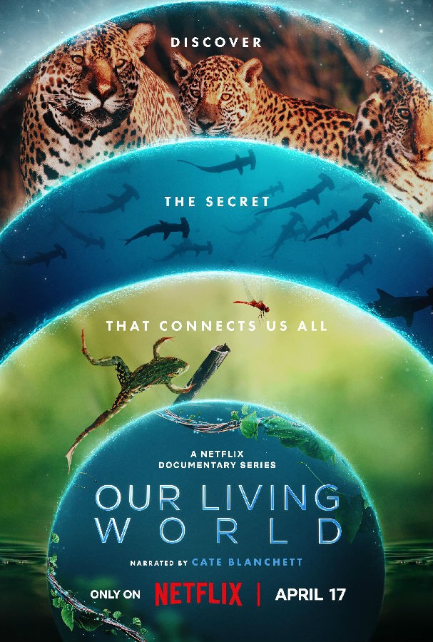 [BT下载][我们的生物世界 Our Living World 第一季][全04集][英语中字][MKV][720P/1080P][WEB+中文字幕 剧集 2024 英国 纪录 打包