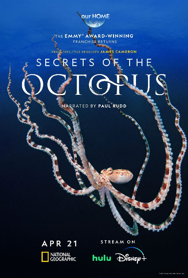 [BT下载][章鱼的秘密 Secrets of the Octopus 第一季][全03集][英语中字][MKV][1080P][Disney+. 剧集 2024 澳大利亚 纪录 全集