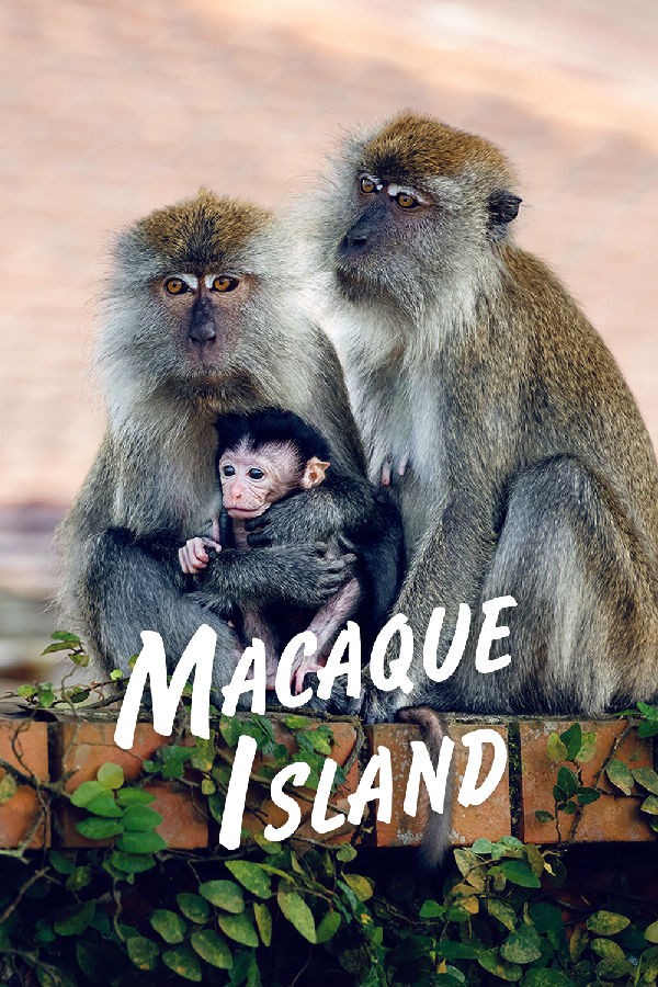[BT下载][猕猴岛 Macaque Island 第一季][全03集][英语无字][MKV][1080P][片源] 剧集 2024 英国 纪录 全集