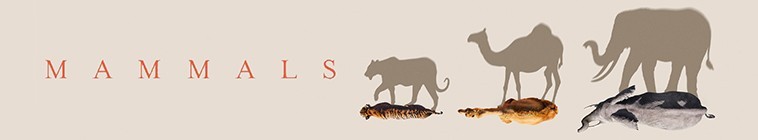 Mammals.2024.S01 哺乳动物星球2.jpg