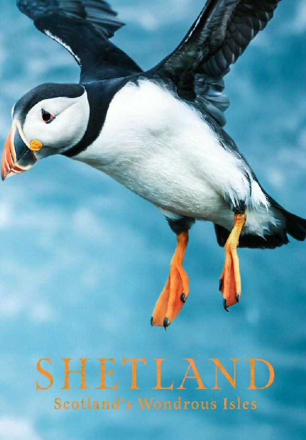[BT下载][苏格兰的奇妙群岛 Shetland: Scotlands Wondrous Isles 第一季][更新至01集][英语无字][MKV][1080P 剧集 2024 英国 纪录 追更