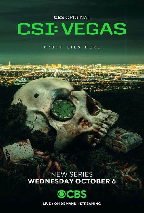 CSI.Vegas.S01 犯罪现场调查:维加斯1.jpg