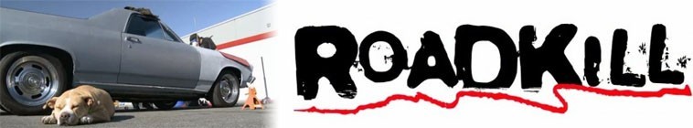 Roadkill.S13 道路杀手2.jpg