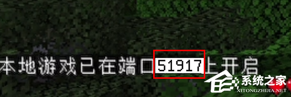 我的世界pcl2启动器怎么联机?
