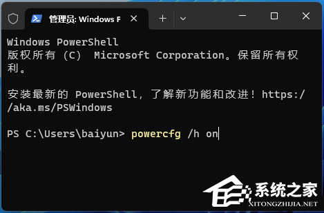 Win11电源选项没有快速启动怎么办?