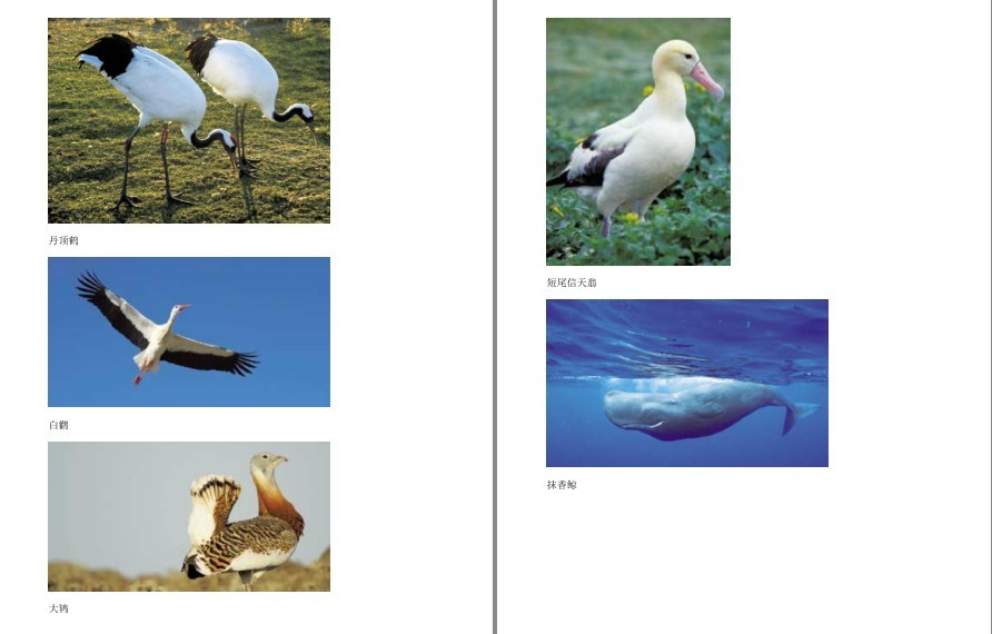 QQ截图20221007165347.png