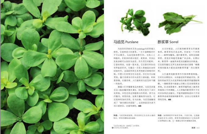 QQ截图20231213122634.png