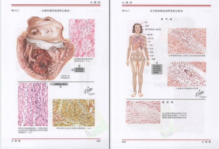 QQ截图20230730123322.png