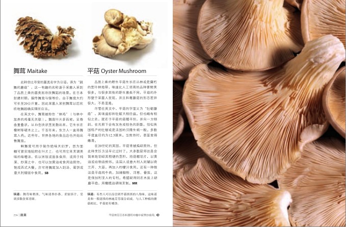QQ截图20231213122652.png