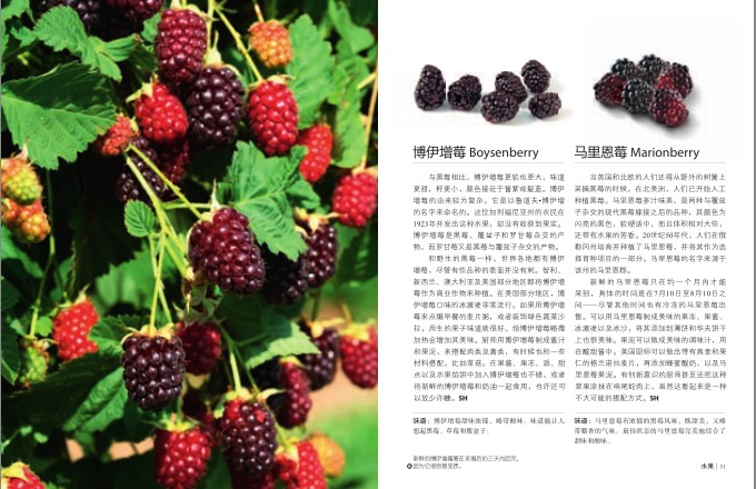 QQ截图20231213122455.png