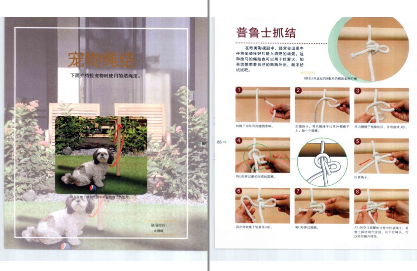 QQ截图20240316100721.png