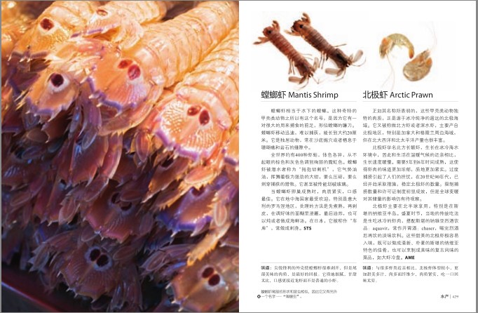 QQ截图20231213122716.png