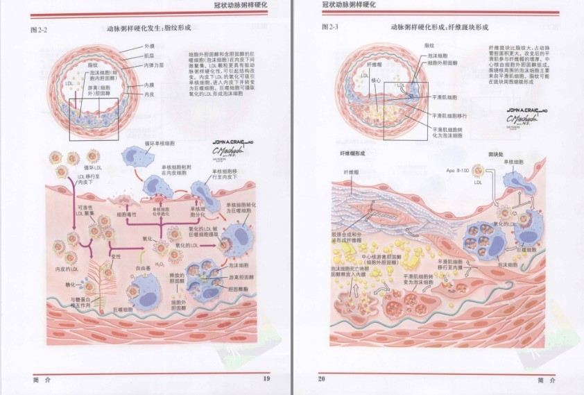 QQ截图20230730123232.png