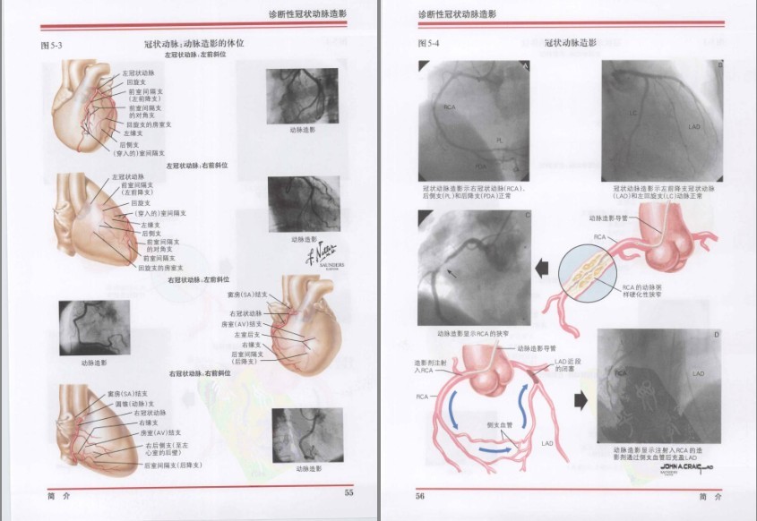 QQ截图20230730123246.png