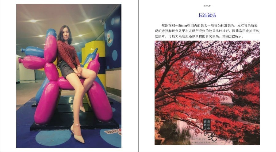 QQ截图20221013073910.png