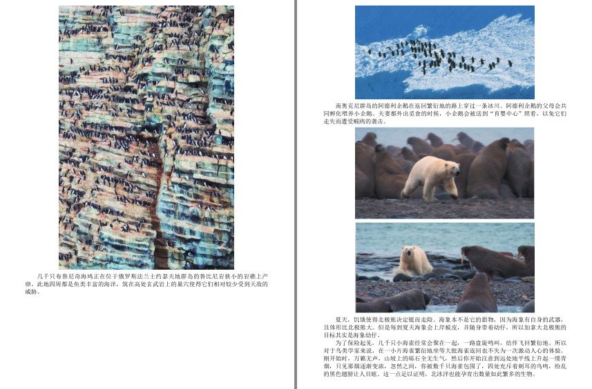 QQ截图20230607075311.png