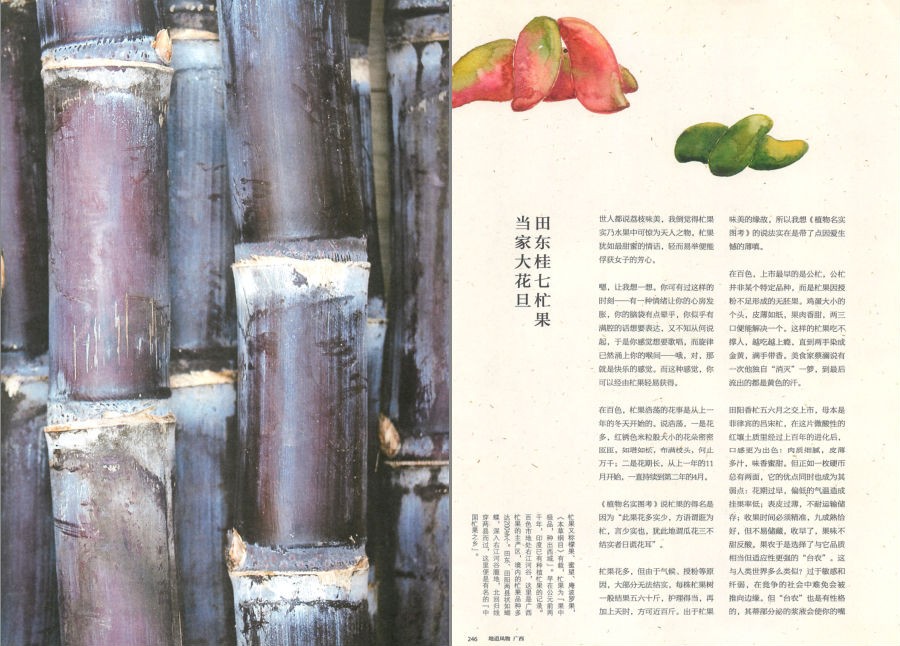 QQ截图20230731103901.png