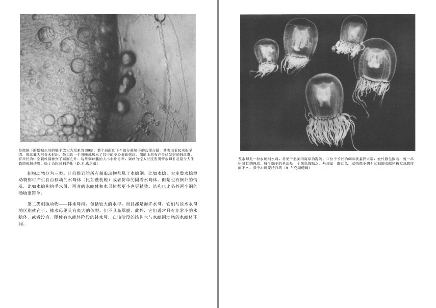 QQ截图20220919204313.png