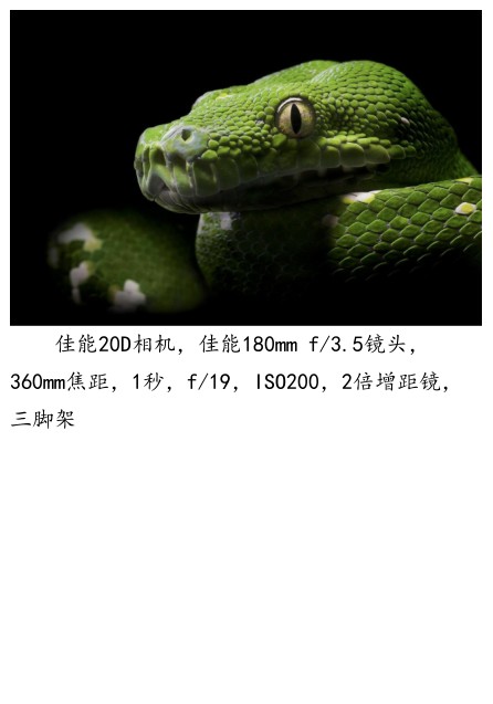 QQ截图20230913075542.png